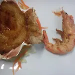 בית הארחה Dona Conchi